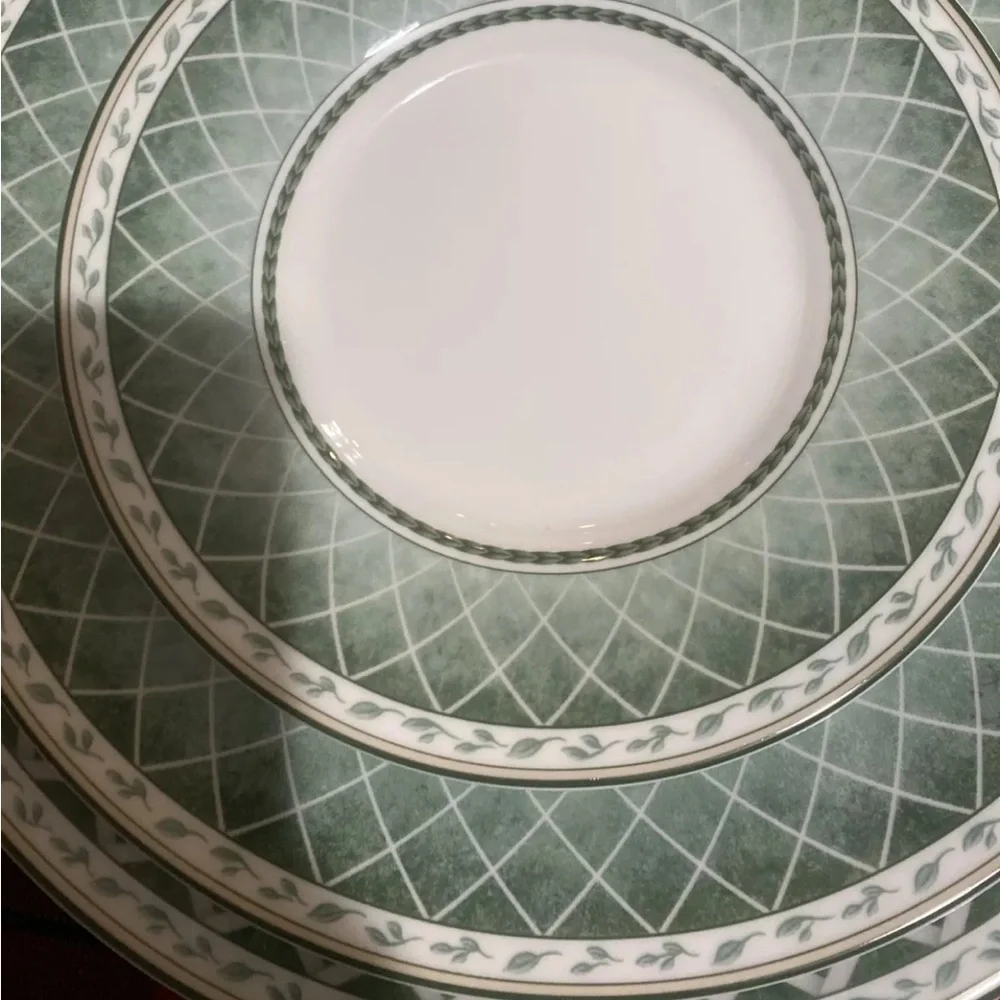 Fitz & Floyd GARDEN GREENS‎ 4 Piece place setting Criss Cross Pattern